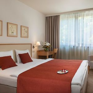 Standaard Double Kamer